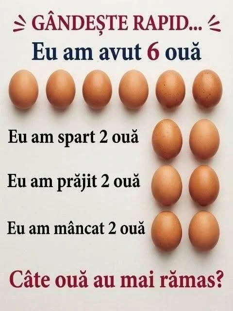 774148950_122176314110732402_9050008654099956237_n